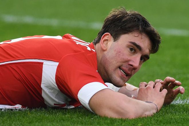 高度观赏性 高度观赏性