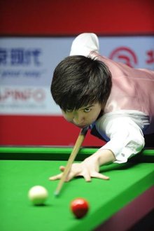 职业生涯的 职业生涯的